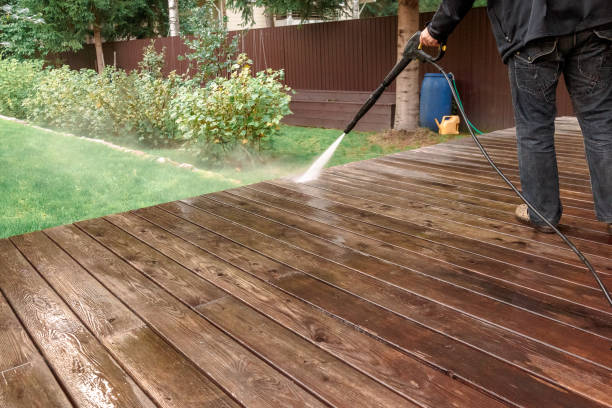 Best Roof Washing  in Buckhead Ridge, FL